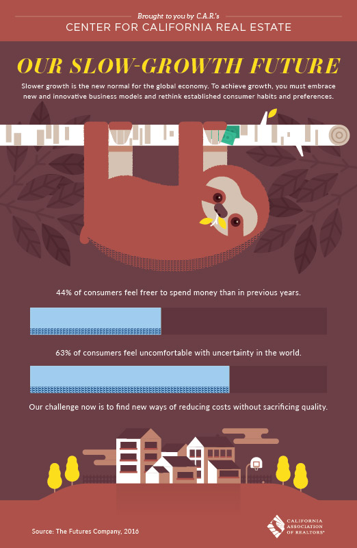 6_6SlowGrowthFuture